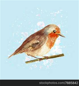 Illustration of watercolo robin with drop texture