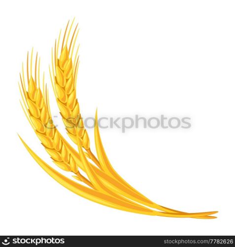 Illustration of wheat bunch. Agricultural image natural golden ears of barley or rye.. Illustration of wheat bunch. Agricultural image golden ears of barley or rye.