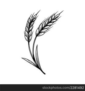 Illustration of wheat spikelet in engraving style. Design element for poster, card, banner, sign. Vector illustration