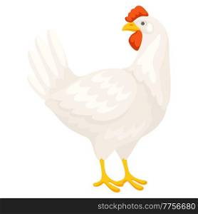 Illustration of white chicken. Images for gastronomy, food and agricultural industries.. Illustration of white chicken. Images for food and agricultural industries.
