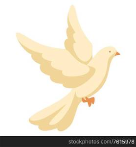 Illustration of white dove. Beautiful pigeon faith and love symbol.. Illustration of white dove. Pigeon faith and love symbol.