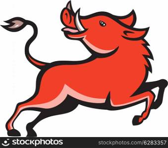 Illustration of wild hog pig razorback prancing on isolated background.