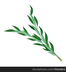 Illustration of willow branches Happy Sukkot traditional symbol. Jewish element for celebration.. Illustration of willow branches Happy Sukkot traditional symbol.
