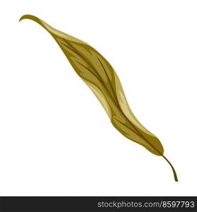 Illustration of willow chestnut leaf. Stylized seasonal dry plant.. Illustration of willow chestnut leaf. Stylized seasonal plant.