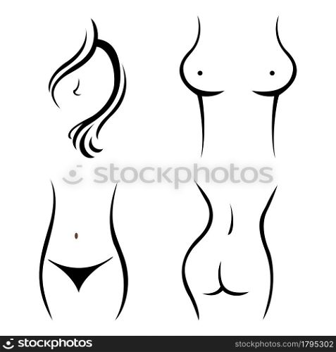 illustration of young woman body parts vector