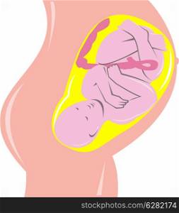 illustration on the development of the human fetus inside womb done in retro woodcut style.. human fetus inside womb