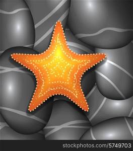 Illustration orange starfish among sea pebble stones - vector