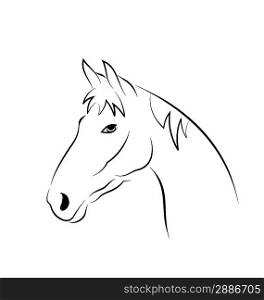 Illustration outline head horse isolated on white background - vector