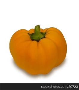 Illustration Photo Realistic Pumpkin Vegetable Isolated on White Background - Vector