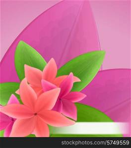 Illustration pink and red frangipani (plumeria), exotic flowers green leaves plant - vector