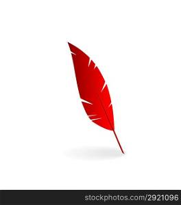 Illustration red feather isolated on white background - vector