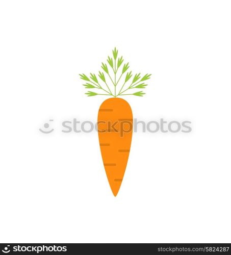 Illustration Ripe Carrot Isolated on White Background, Vegetarian Food - Vector