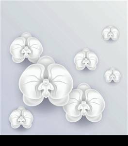 Illustration romantic greeting card with beautiful orchids and copy space for your message or text - vector