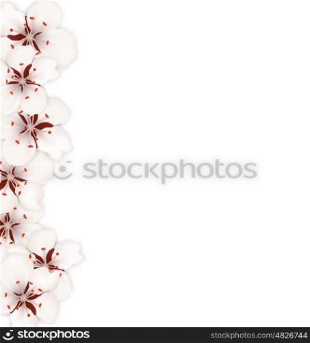 Illustration Sakura Flowers, Floral Banner for Springtime - Vector