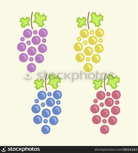 Illustration Set Colorful Bunches of Grape, Vintage Flat icons - Vector