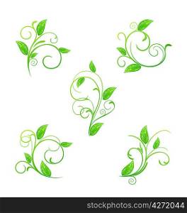 Illustration set green floral elements with eco leaves isolated - vector