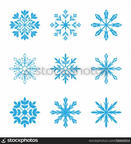 Illustration set of different snowflakes isolated on white background - vector