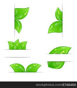 Illustration set of green ecological labels with leaves isolated on white background - vector