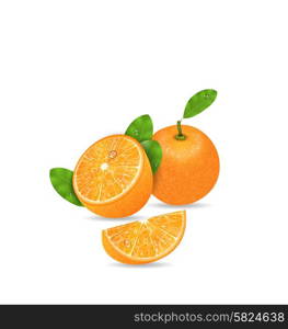 Illustration Set Orange Fruits, Cut and Slices, Ripe Citrus - Vector