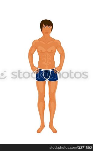 Illustration sexy muscular guy isolated -vector