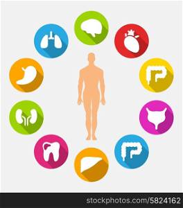 Illustration Silhouette of Male and Internal Human Organs, Collection Colorful Flat Icons with Long Shadows - Vector