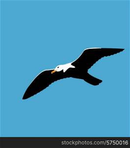 Illustration soaring seagull in blue sky, seabird isolated on blue background - vector