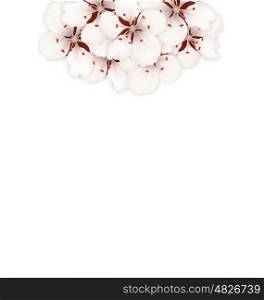 Illustration Spring Background with Cherry Blossom, Place for Text - Vector