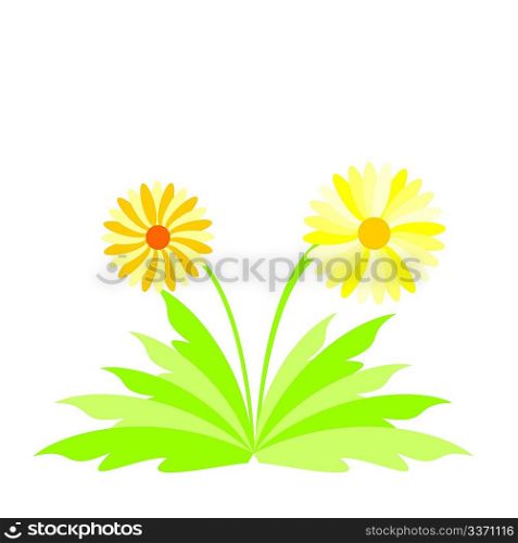Illustration spring flowers - vector