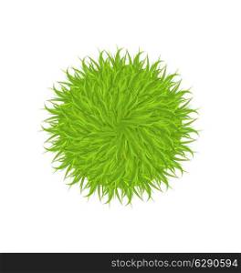 Illustration spring grass circle shape isolated on white background - vector