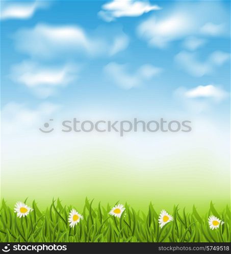 Illustration spring natural background with blue sky, clouds, grass field and flowers chamomiles - vector