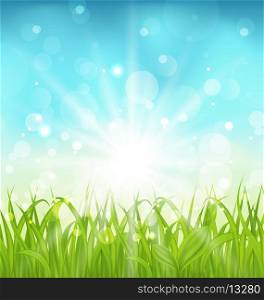 Illustration spring nature background with grass - vector
