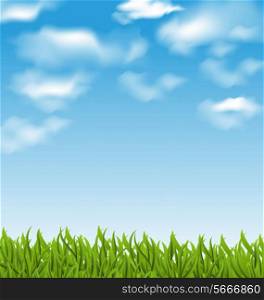 Illustration summer background with green grass and sky - vector