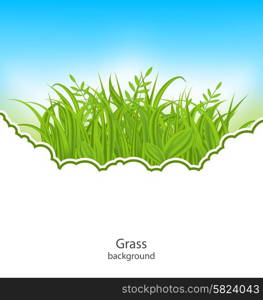 Illustration Summer Natural Postcard with Green Grass - vector