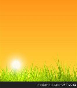 Illustration Summer Nature Background with Grass, Sunset - Vector