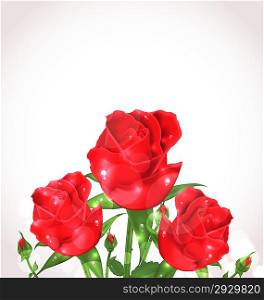 Illustration three roses for design wedding card - vector