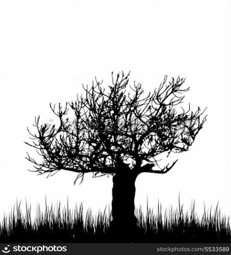 Illustration tree and grass in silhouette are isolated on white background - vector