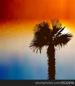 Illustration tropical background with palm tree at sunset - vector