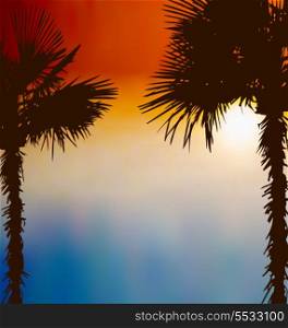 Illustration tropical palm trees, sunset background - vector
