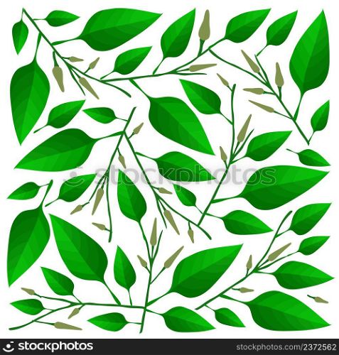 Illustration Vector Background of Beautiful Fresh Green Leaves on Tree Branches.
