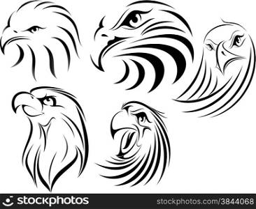 illustration vector for great eagle