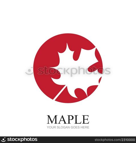 illustration vector graphic logo design for maple leaf