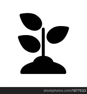 Illustration Vector Graphic of Grow icon