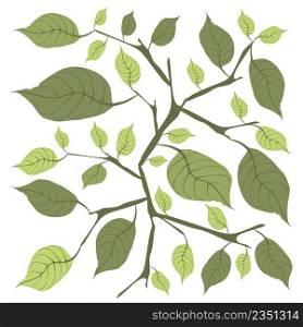 Illustration Vector of Beautiful Fresh Green Leaves Isolated on A White Background. 