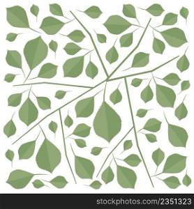 Illustration Vector of Beautiful Fresh Green Leaves Isolated on A White Background. 
