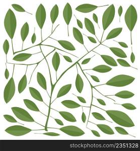 Illustration Vector of Beautiful Fresh Green Leaves Isolated on A White Background.