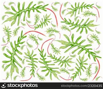 Illustration Vector of Philodendron Xanadu or Thaumatophyllum Xanadu Leaves Background.