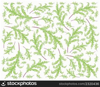Illustration Vector of Phlebodium Aureum or Golden Serpent Fern Leaves Background.