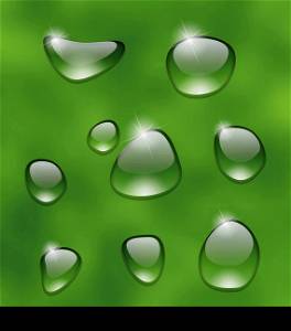 Illustration water drops on fresh green leaf - vector