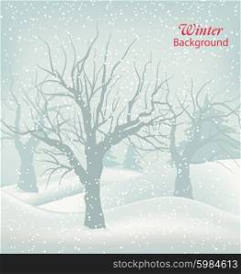 Illustration Winter Outdoor Background, Snowfall and Trees. Natural Landscape - Vector