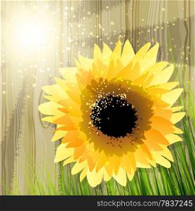 Illustration with sunflower and grass against wooden fence in summer afternoon drawn in cartoon style
